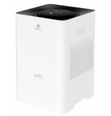 Мойка воздуха серии AURORA RAW-AU350/5EW-WT